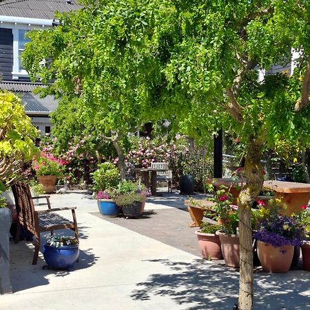 Boutique Hotel Kaikoura Dış mekan fotoğraf