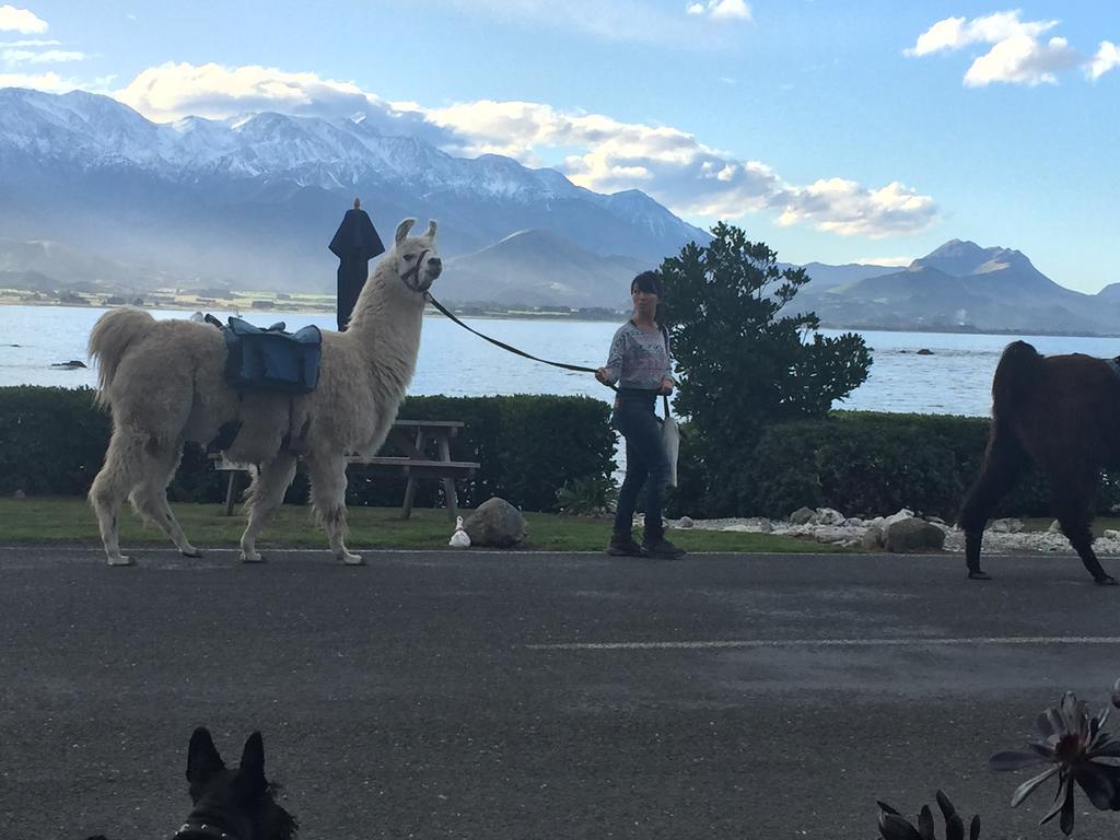 Boutique Hotel Kaikoura Dış mekan fotoğraf
